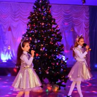 Новогодний концерт "Чудеса новогоднего дворца" 